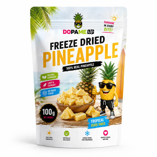 [350004] Freeze dried Pineapple Slice 80g